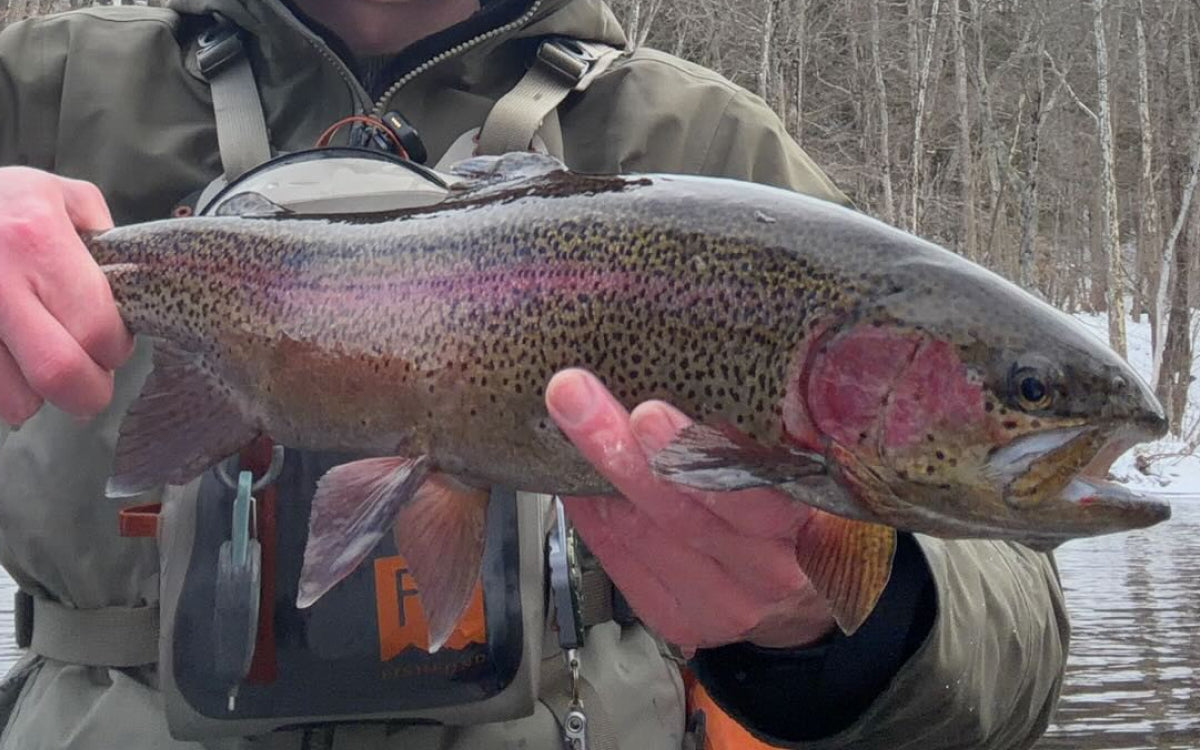 Northeast Fishing Report 2/13/26