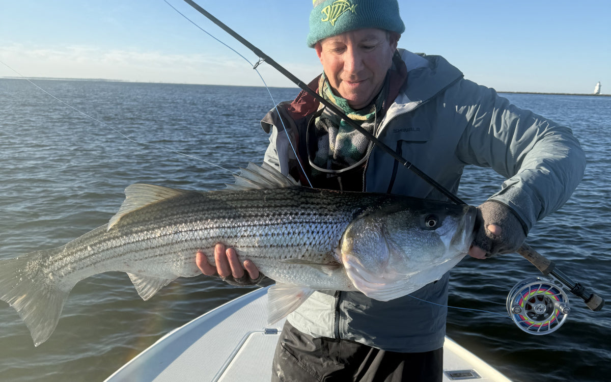 Northeast Fishing Report 10/31/2025
