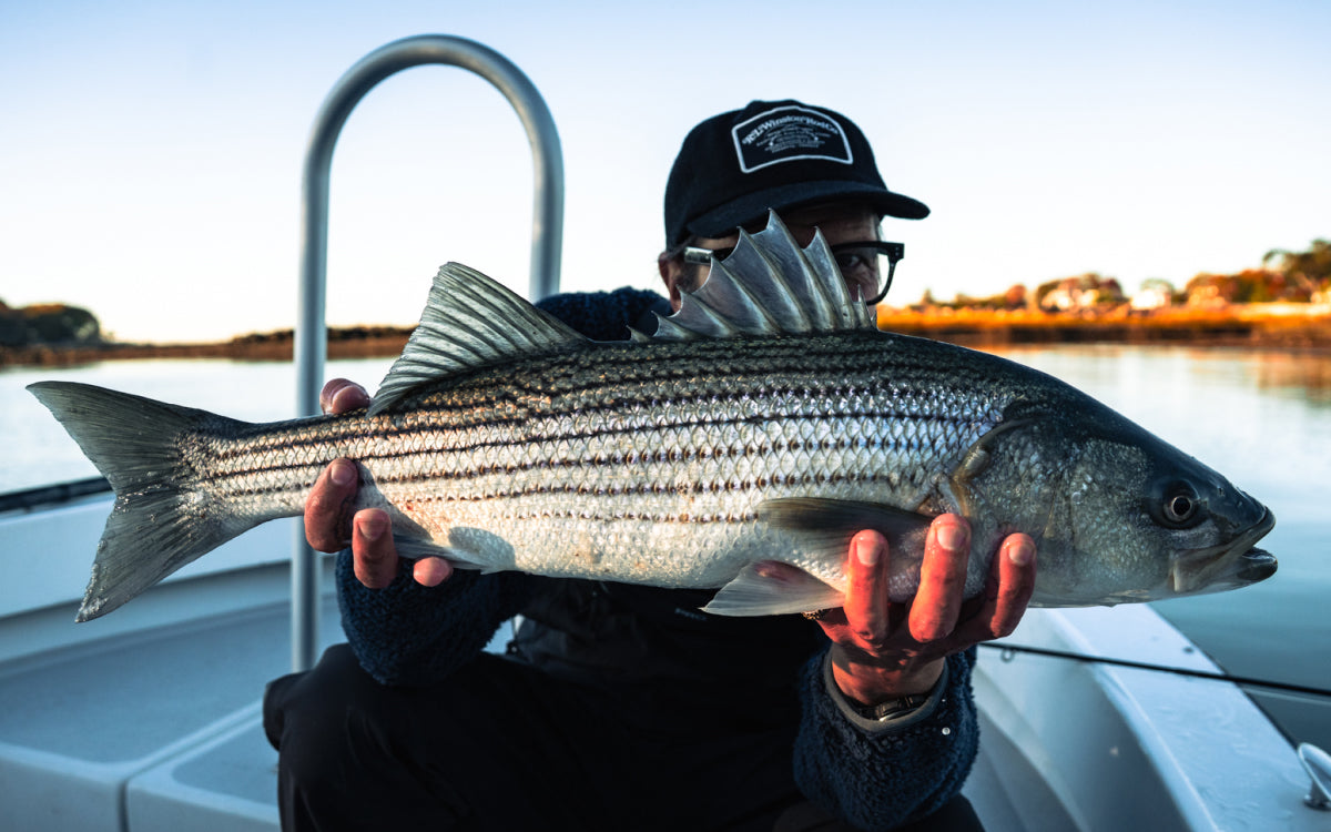 Northeast Fishing Report 10/24/2025