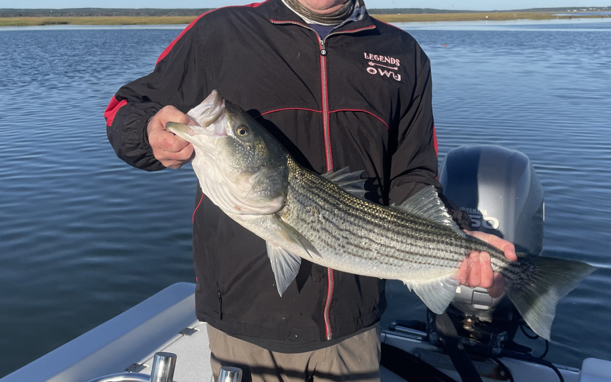 Northeast Fishing Report 10/17/2025