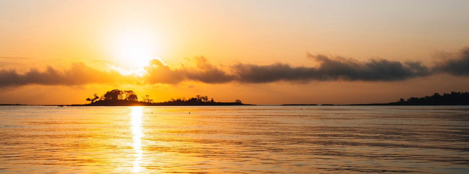 Specials & Discounted Gear