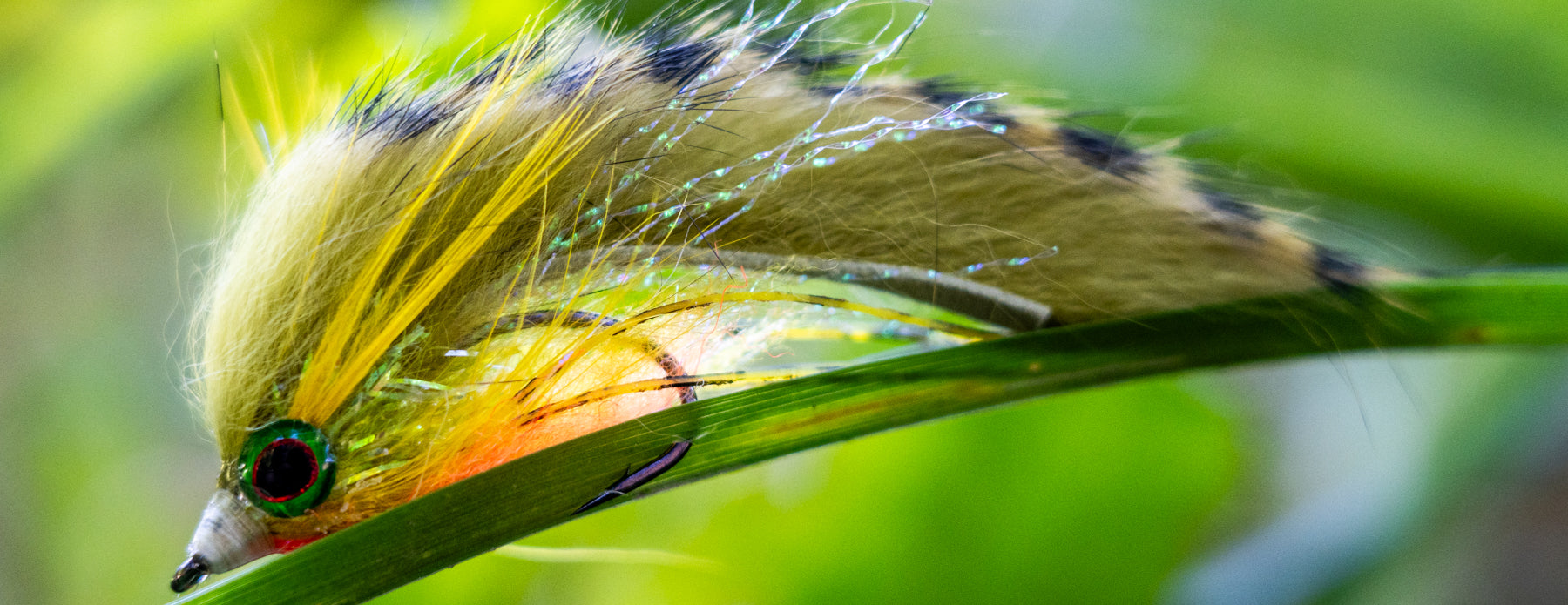 Single Hook Streamers