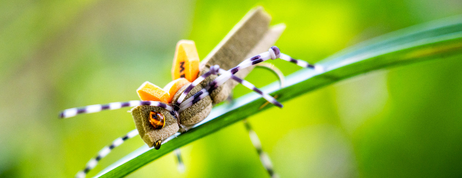 Dry Flies: Terrestrials