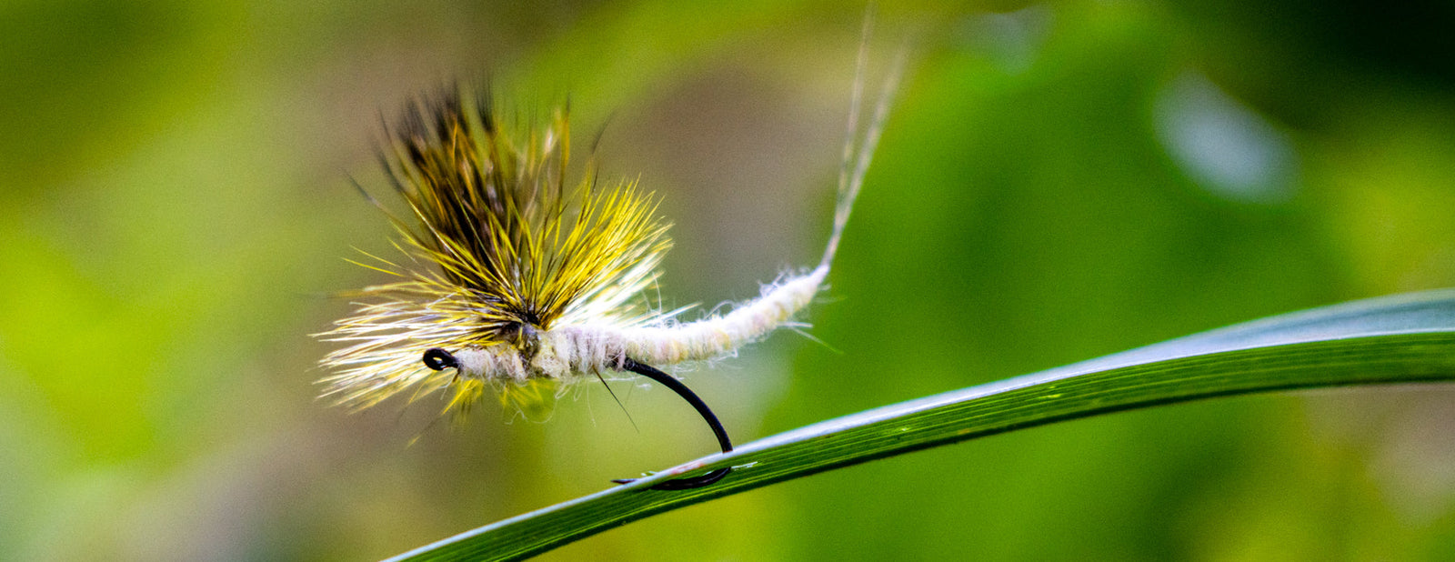 Dry Flies: Mayflies