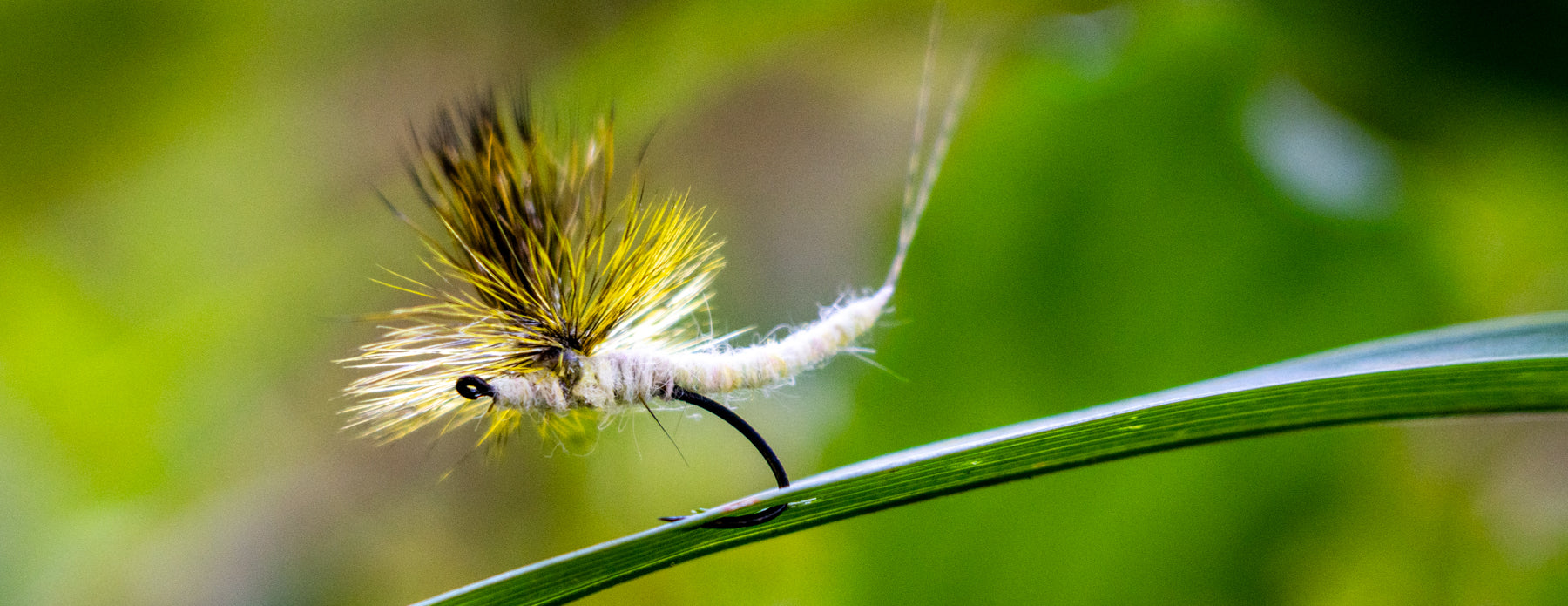 Dry Flies: Mayflies