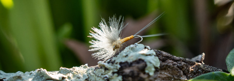 Dry Flies: Midges