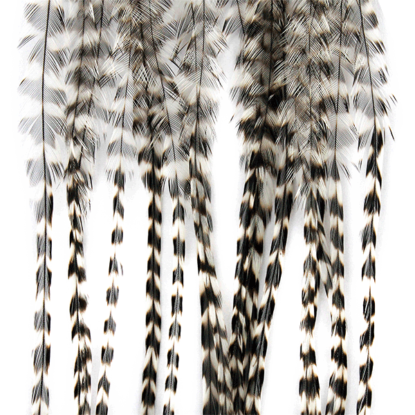 Whiting 100 Pack