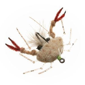 Enrico Puglisi Palometa Crab