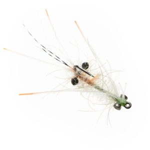 Enrico Puglisi Ascension Bay Mantis Shrimp