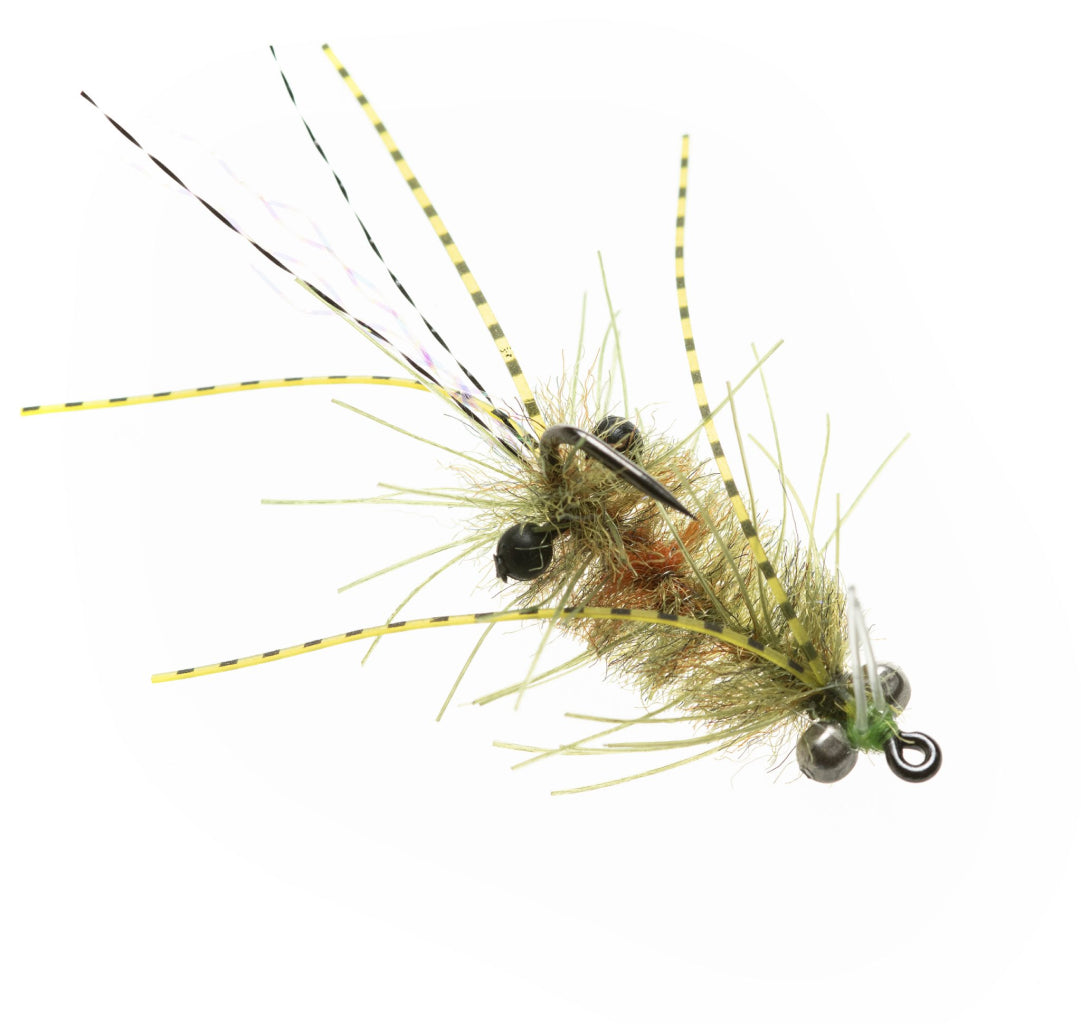 Enrico Puglisi Ascension Bay Mantis Shrimp