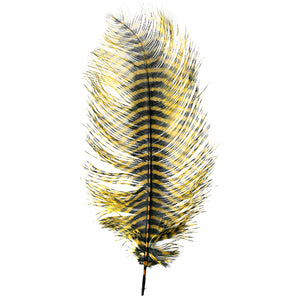 MFC Barred Ostrich Plume