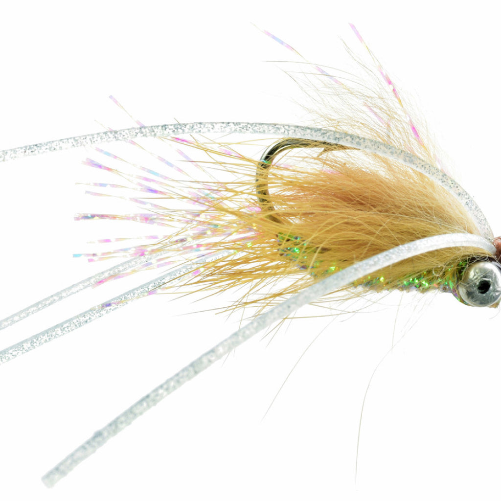 Bone Appetite Chicone