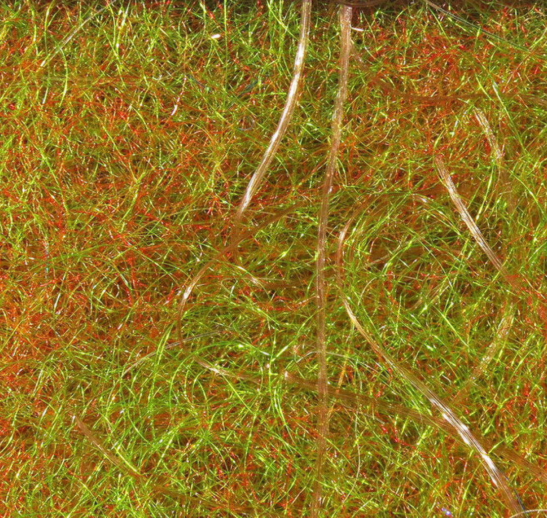 Cohen&#39;s Carp Dub