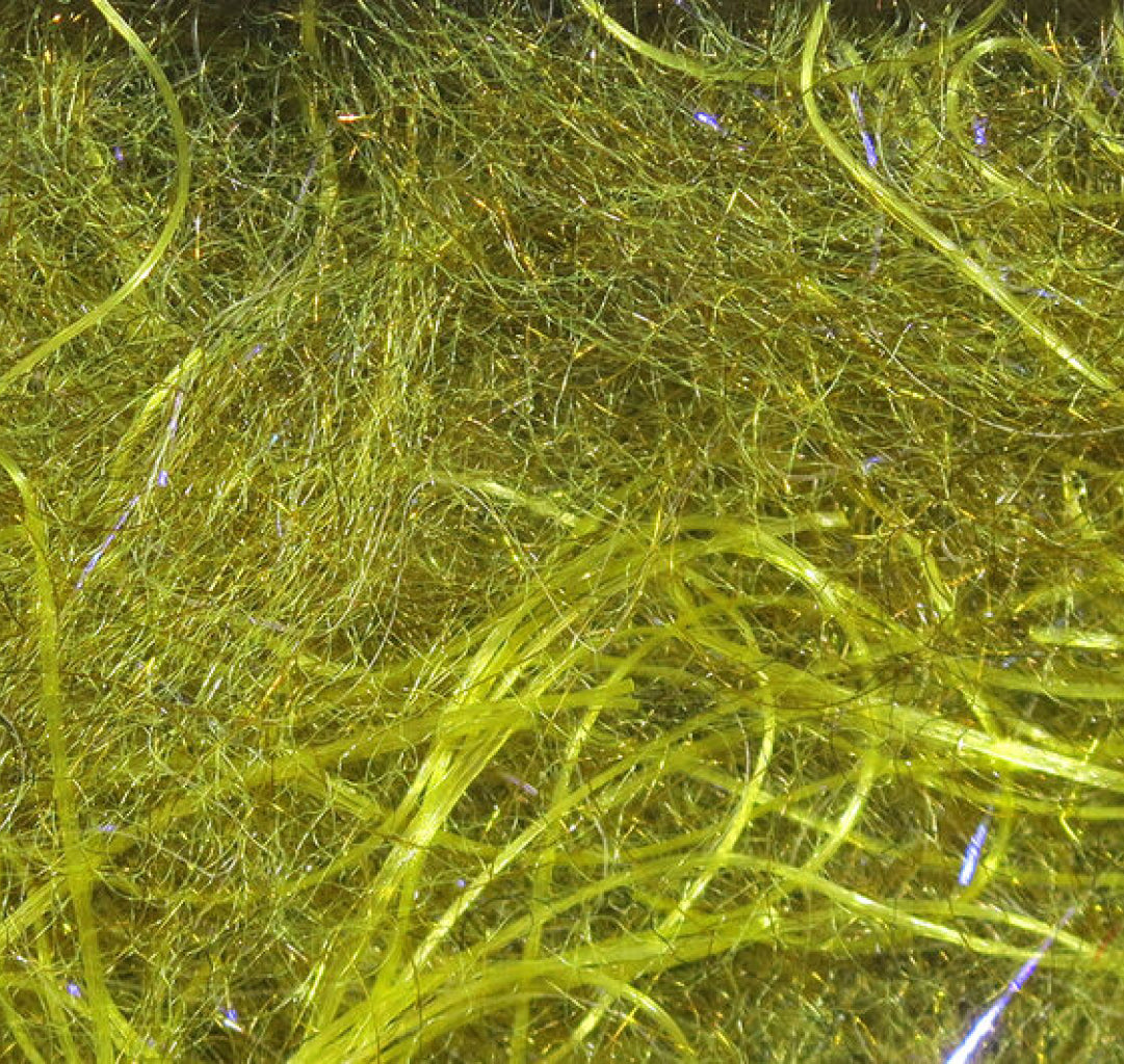 Cohen&#39;s Carp Dub