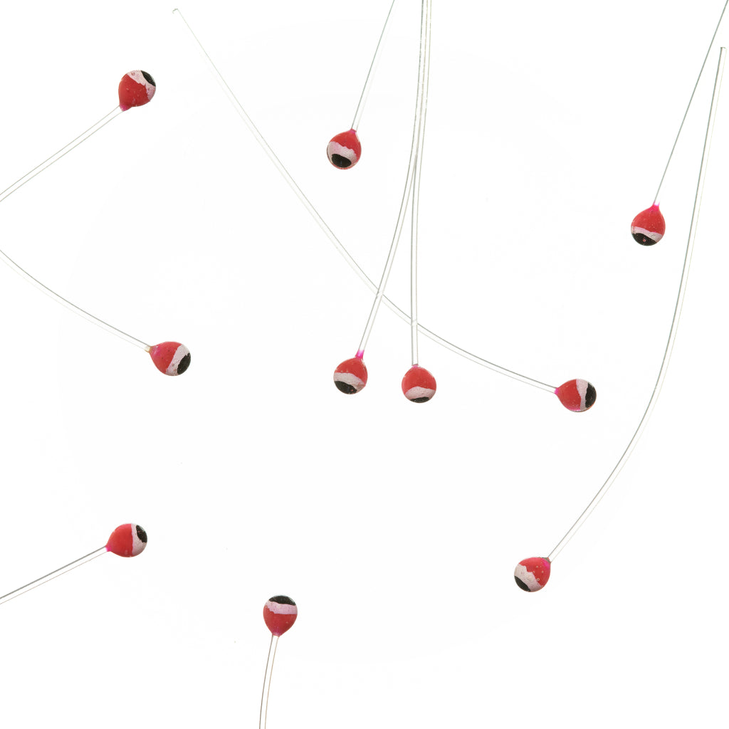 EP Crab &amp; Shrimp Eyes Double Pupil