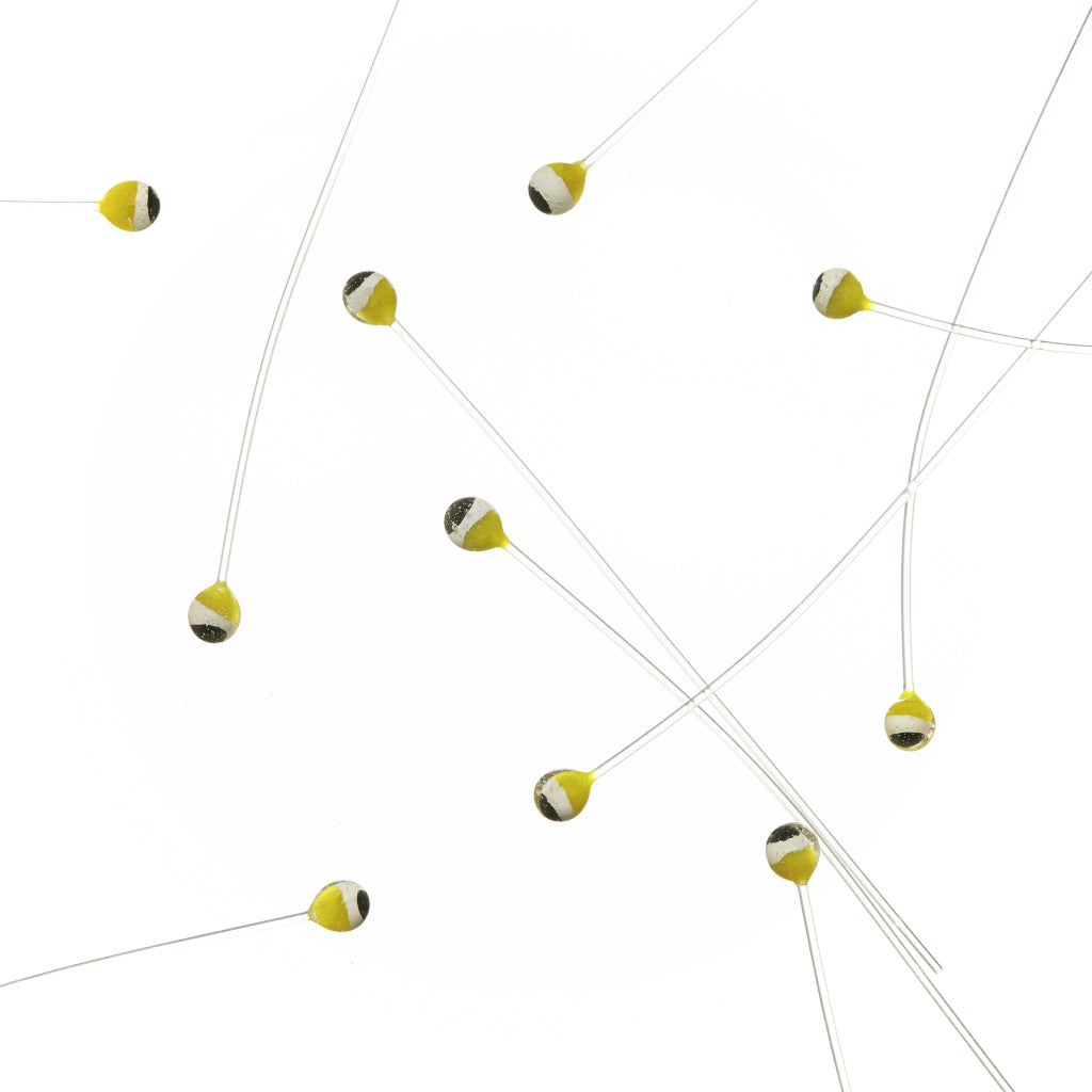 EP Crab &amp; Shrimp Eyes Double Pupil