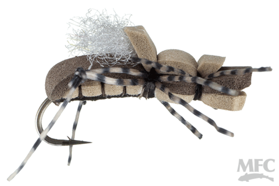 Taylor&#39;s Fat Albert