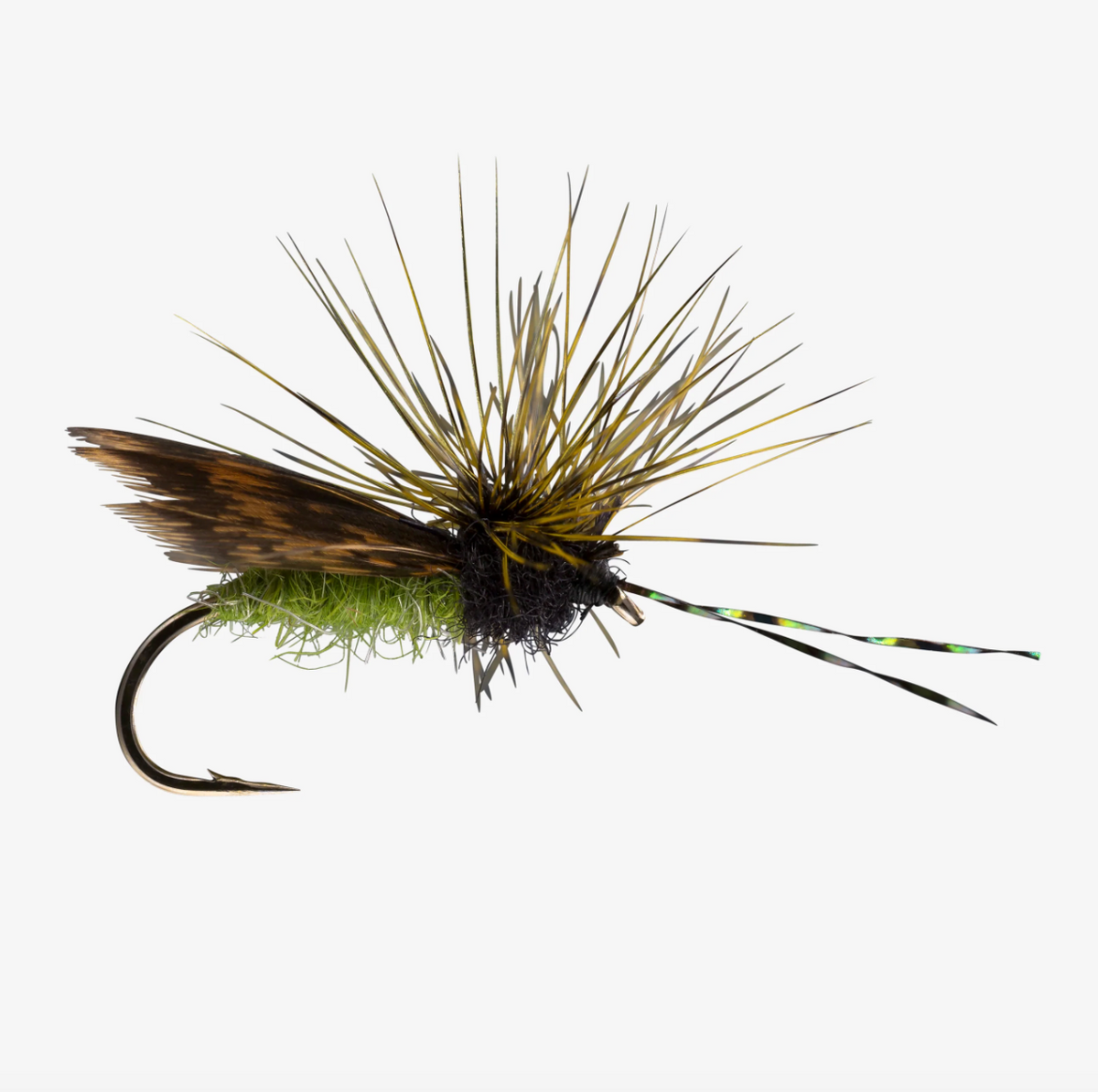 Hen Wing Caddis