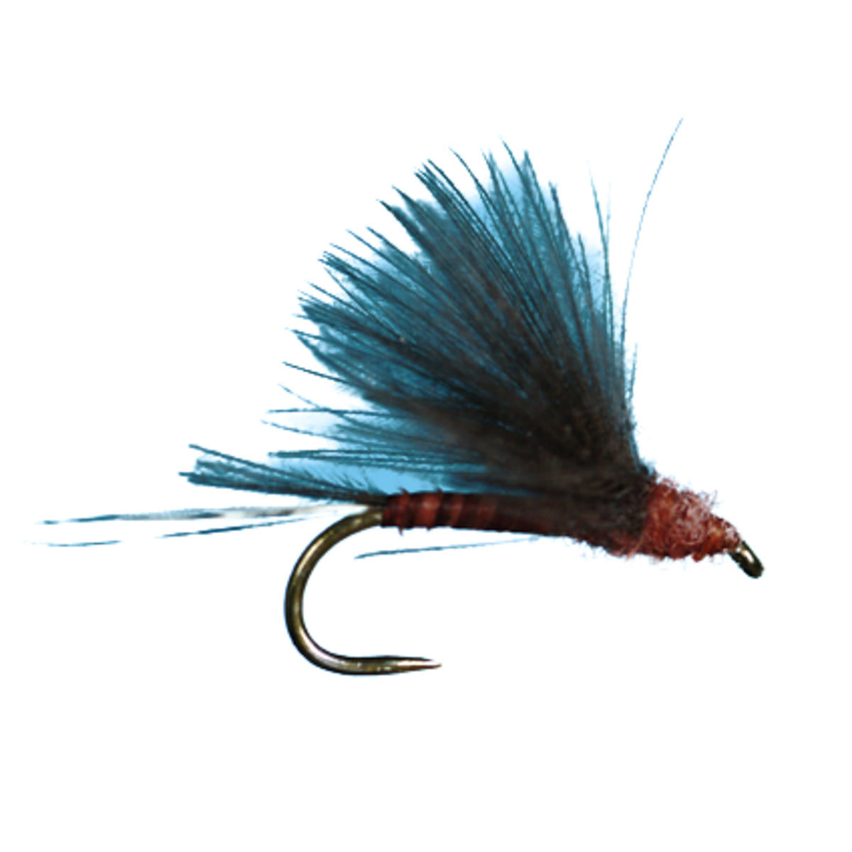 HARROP&#39;S CDC BIOT