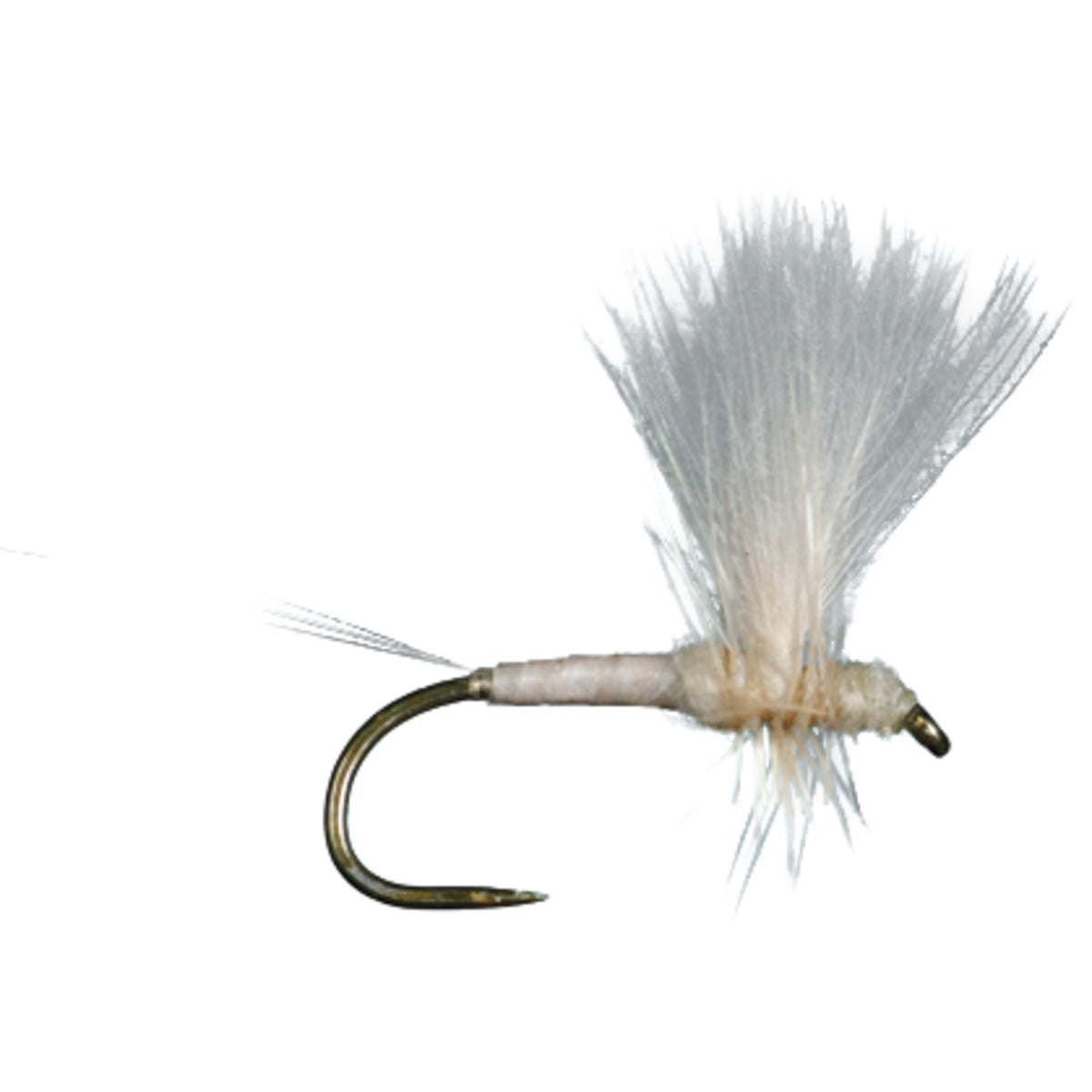 HARROP&#39;S CDC THORAX