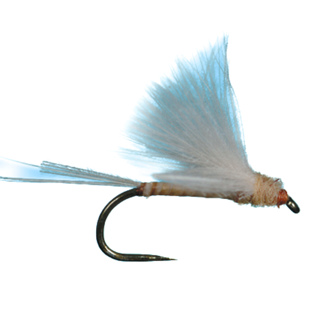 HARROP&#39;S CDC BIOT DUN