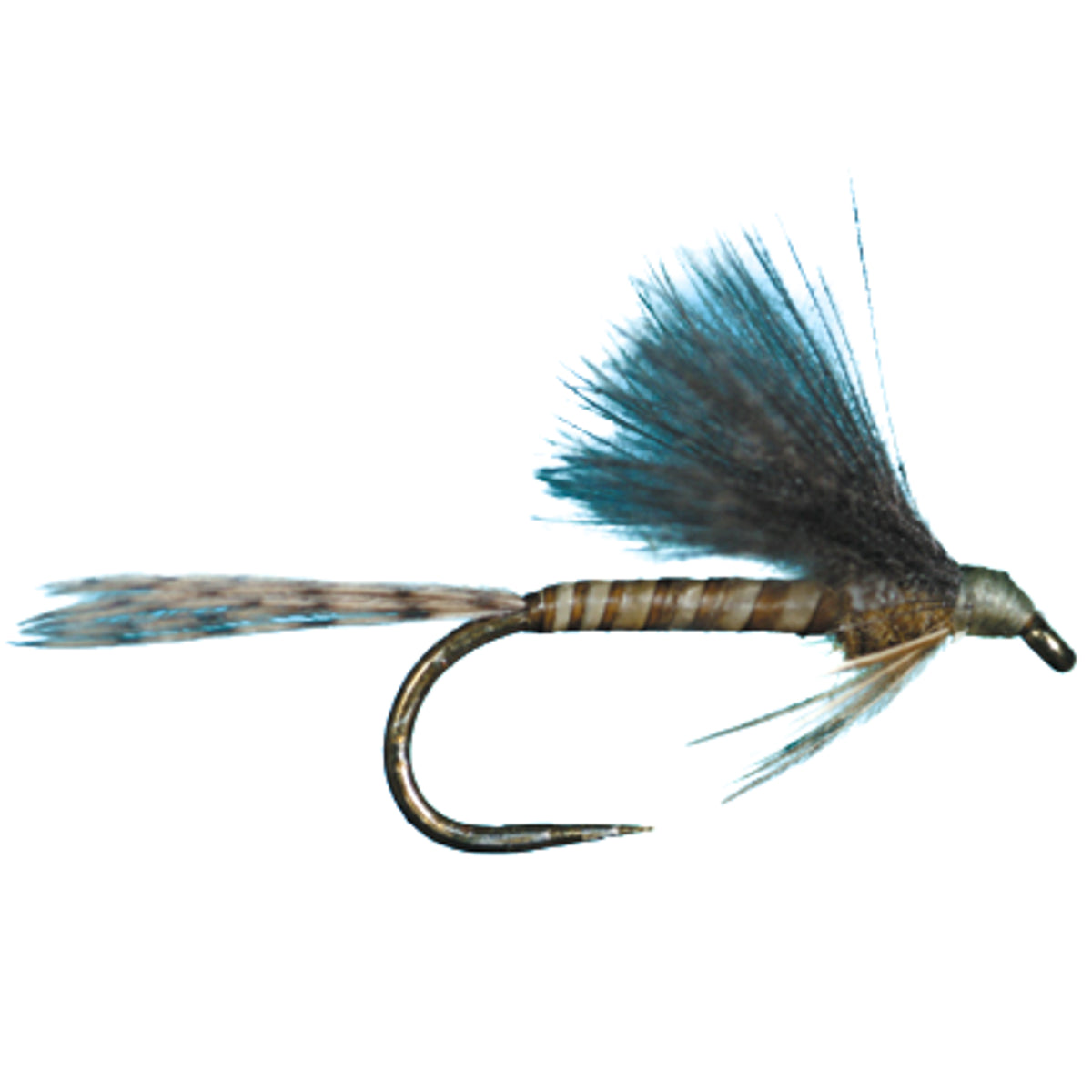 HARROP&#39;S CDC BIOT EMERGER