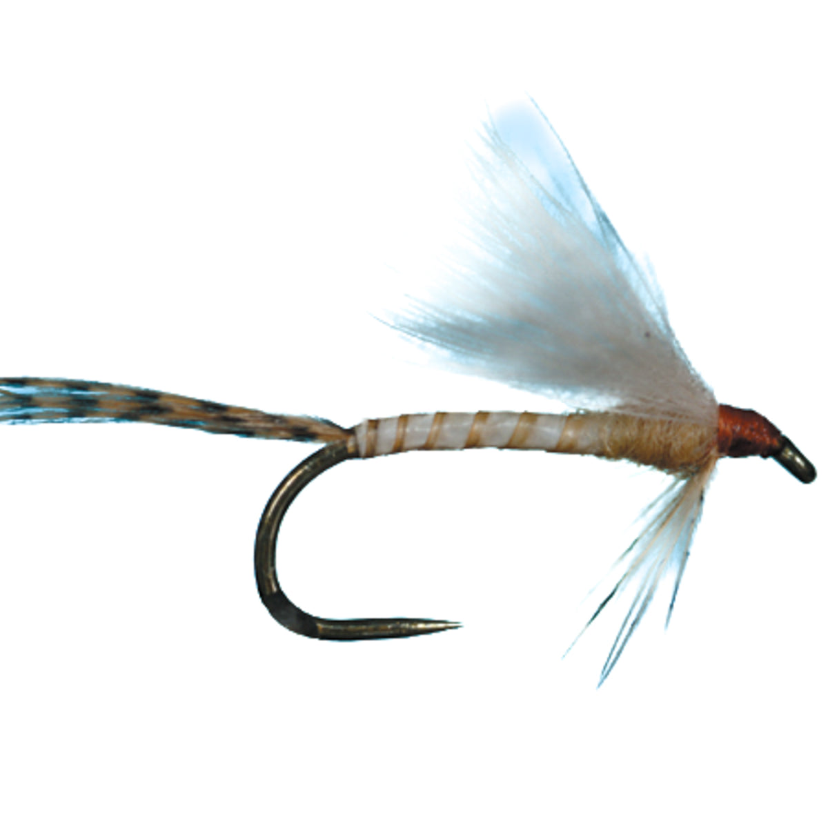 HARROP&#39;S CDC BIOT EMERGER