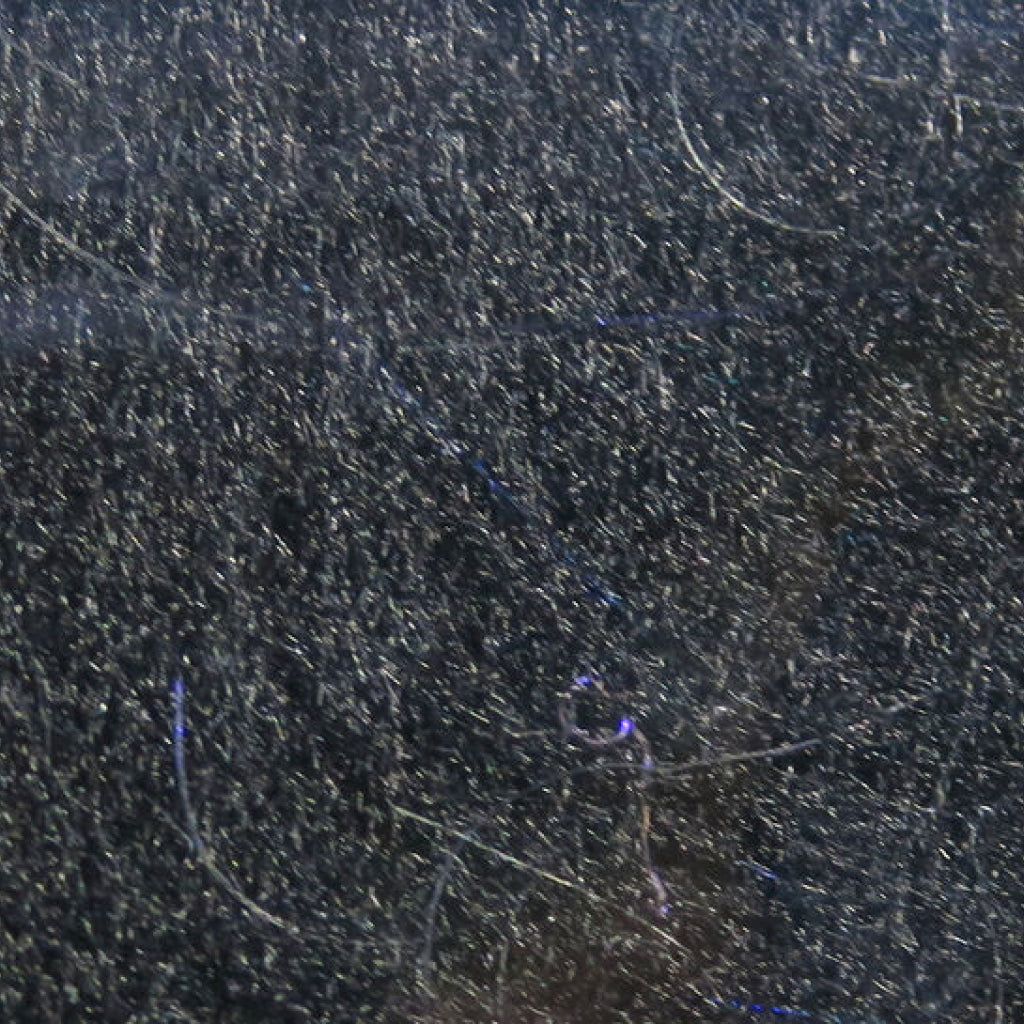 Fly Fish Food&#39;s Bruiser Blend