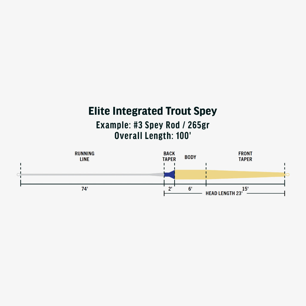 Rio Elite Integrated Trout Spey