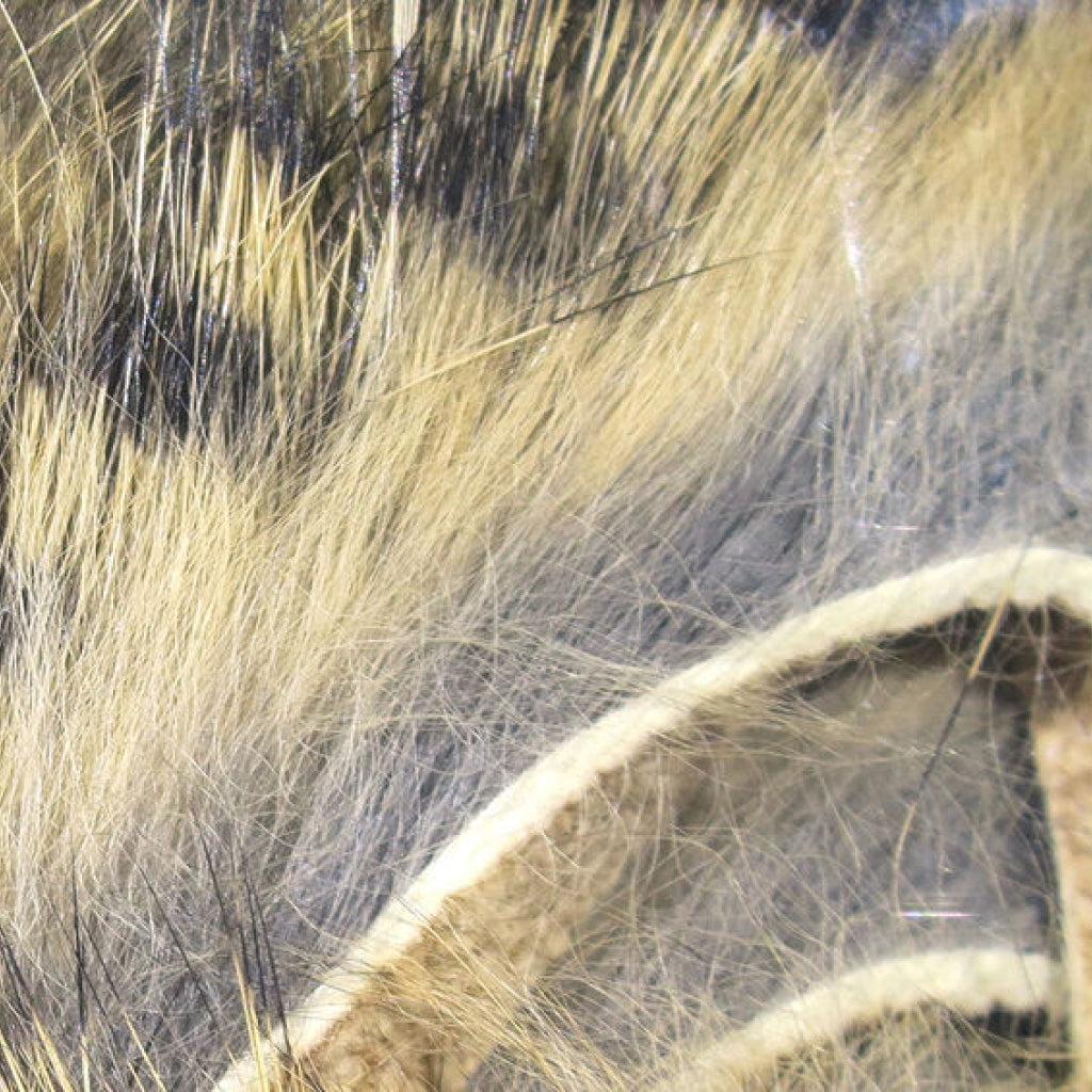 Black Barred Rabbit Strips