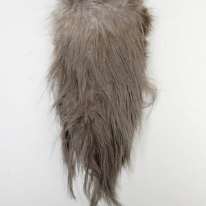 Whiting Bird Fur