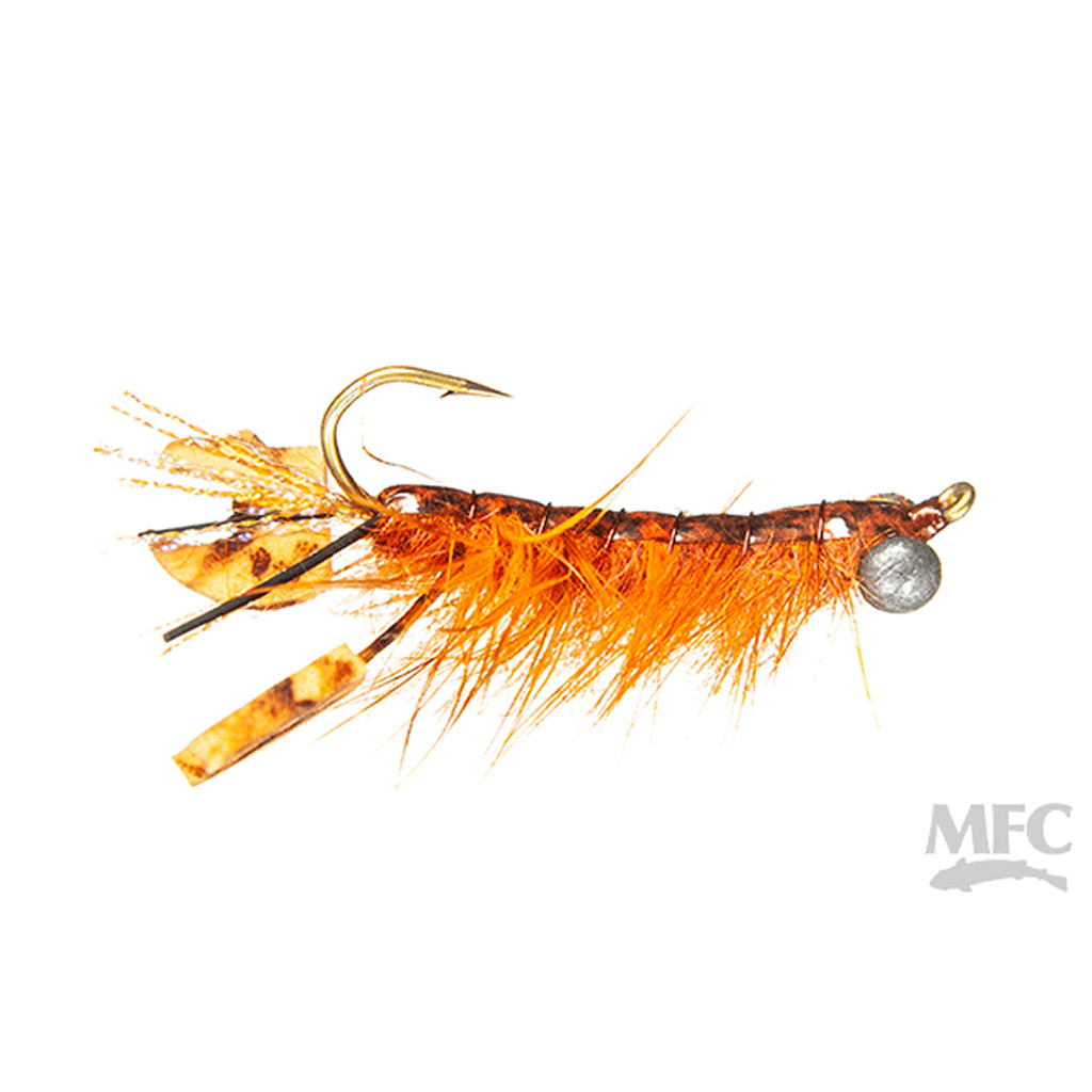 MFC Ritt's Fighting Crawfish
