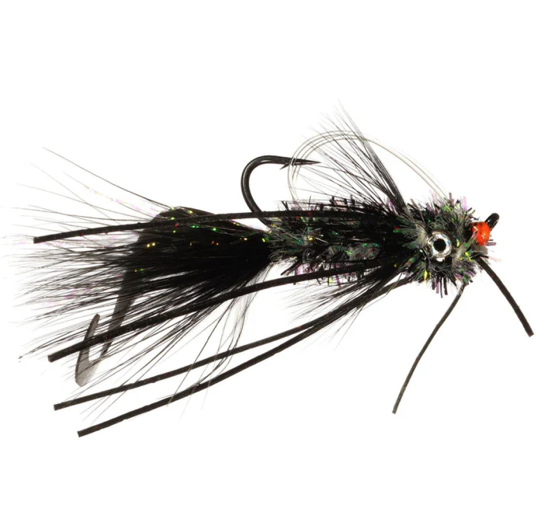 Whitlock's Scorpion Fly