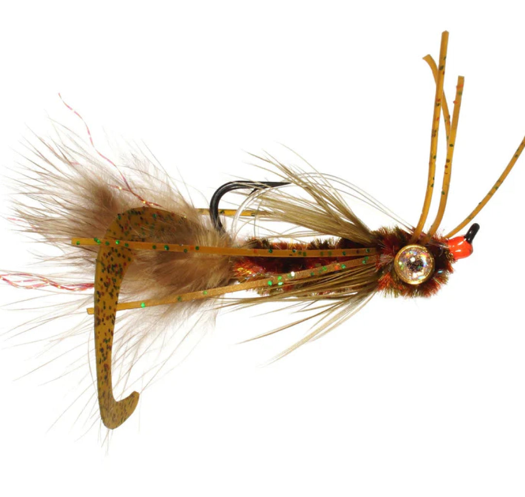 Whitlock's Scorpion Fly