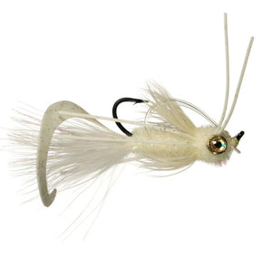 Whitlock's Scorpion Fly