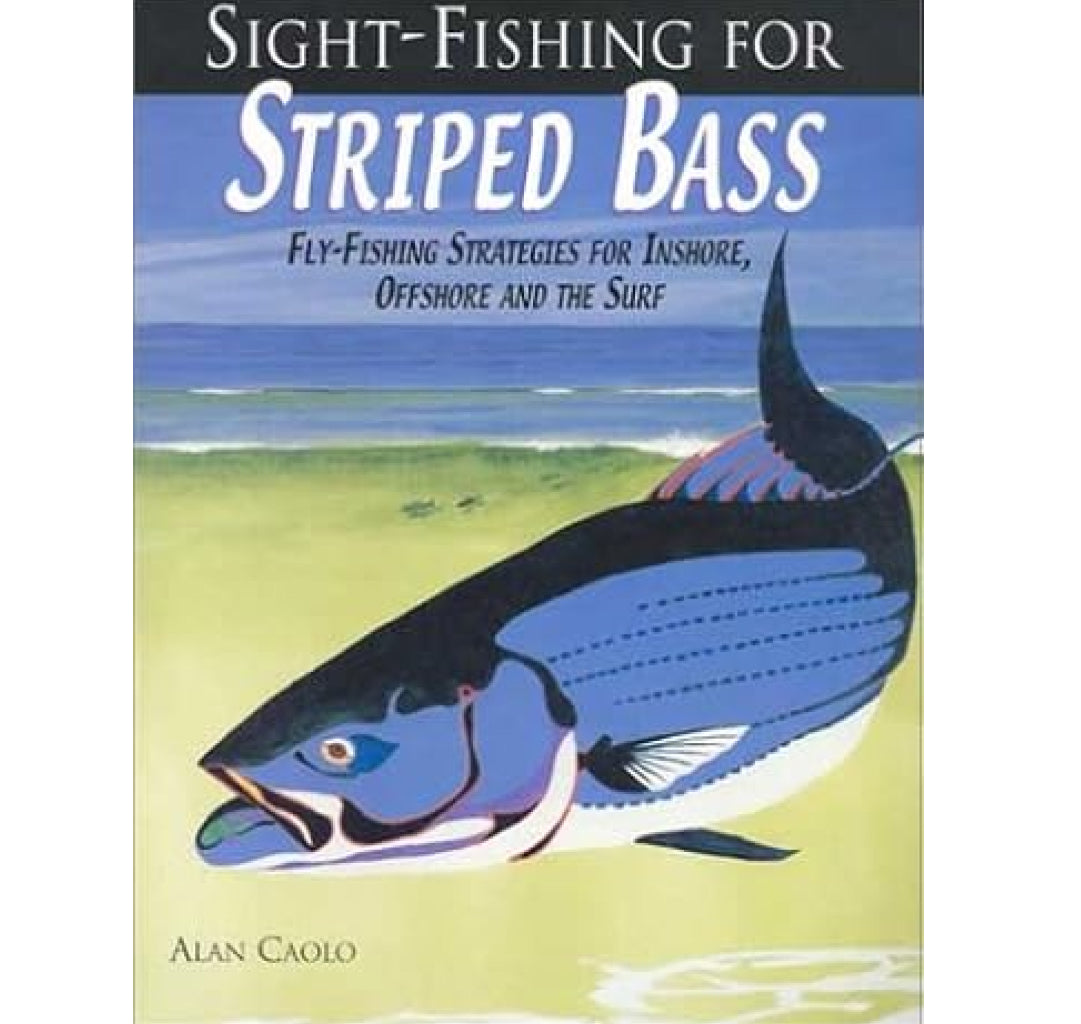Sight Fishing For Striped Bass, Alan Caolo