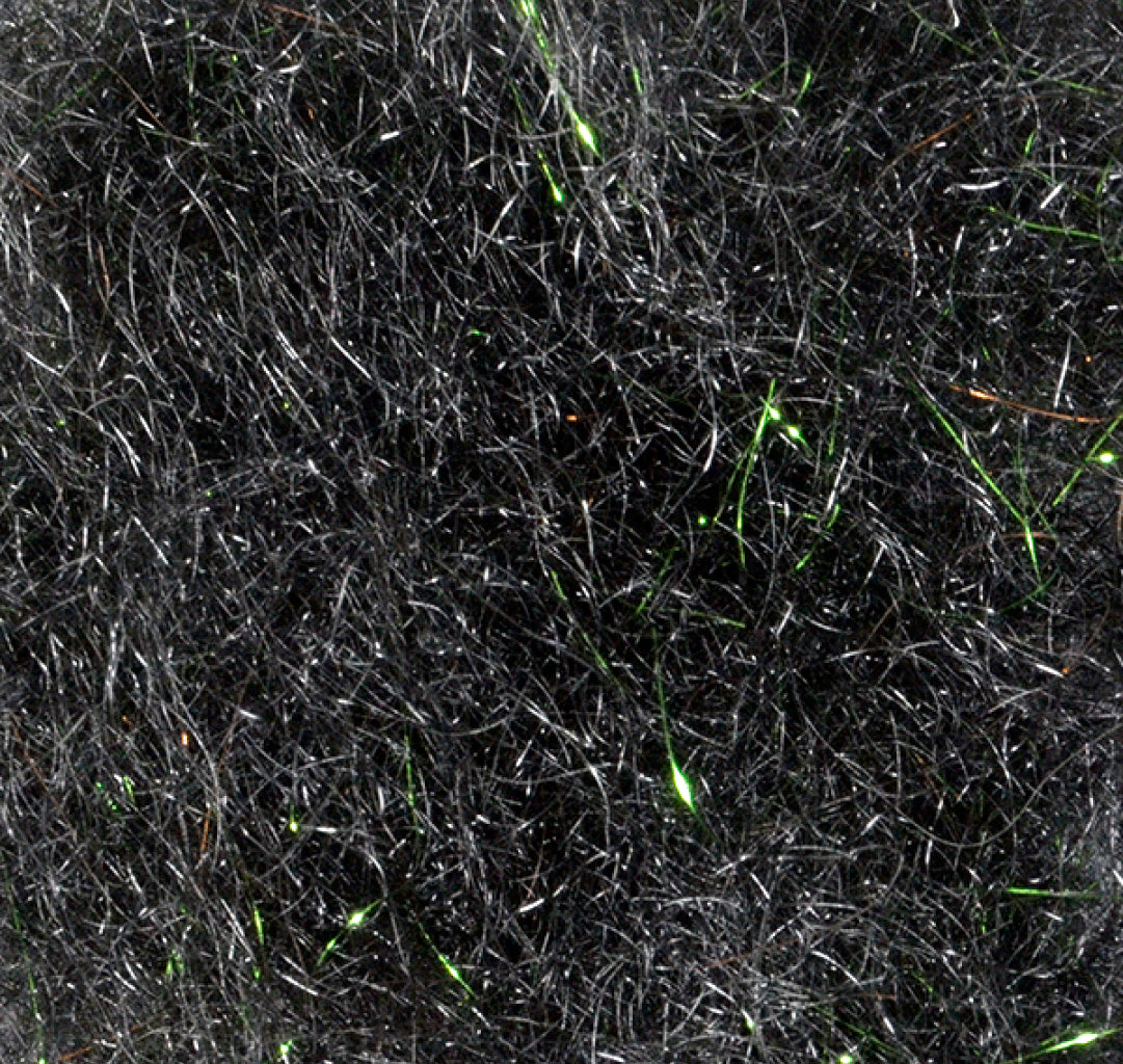 Arizona Simi Seal Mega Dubbing