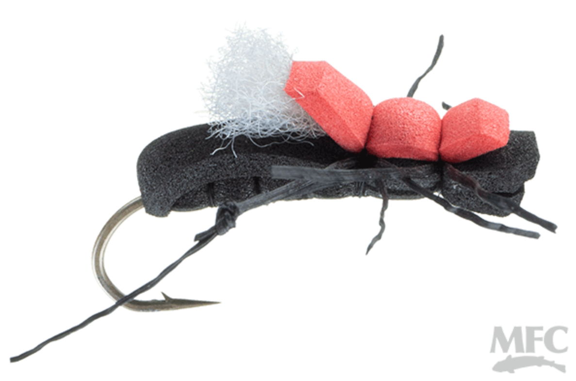 Taylor&#39;s Fat Albert