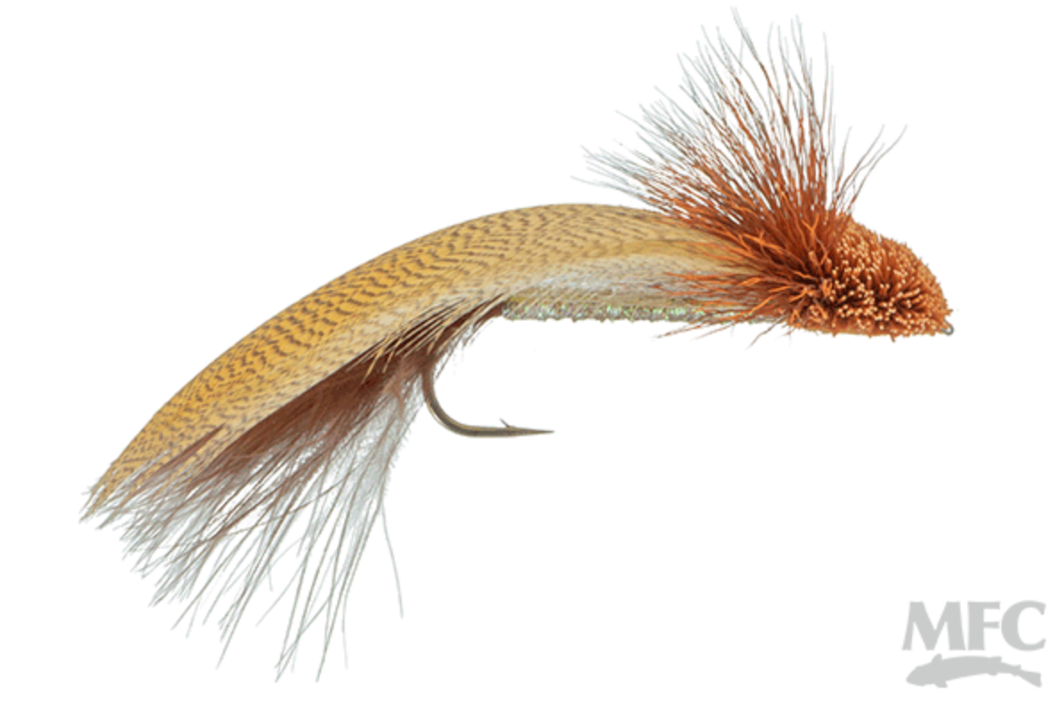 Galloup&#39;s Zoo Cougar