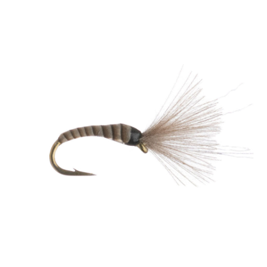 Mole Midge