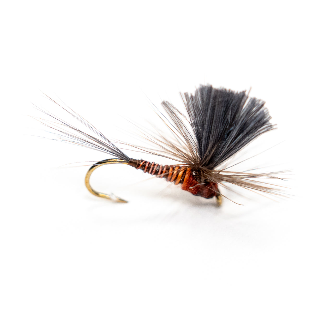 Red Quill Paradun