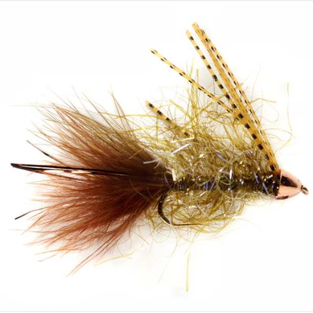 Daniel&#39;s Sculpin Snack