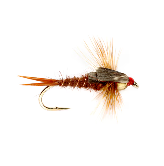 Stonefly Nymph (Tungsten Bead Head)