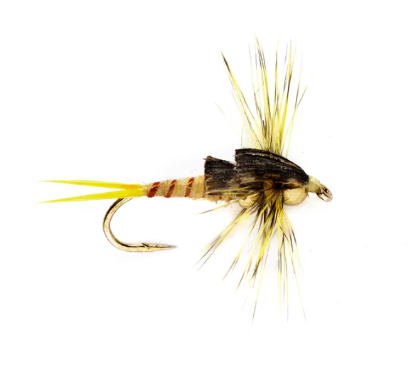 Stonefly Nymph (Tungsten Bead Head)