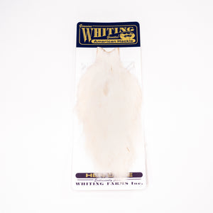 Whiting American Hen Cape