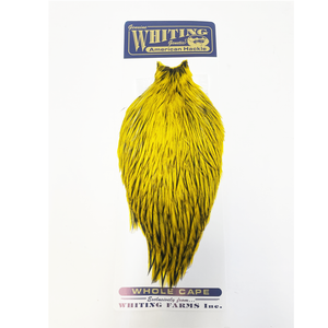 Whiting American Rooster Cape