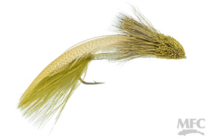 Galloup's Zoo Cougar