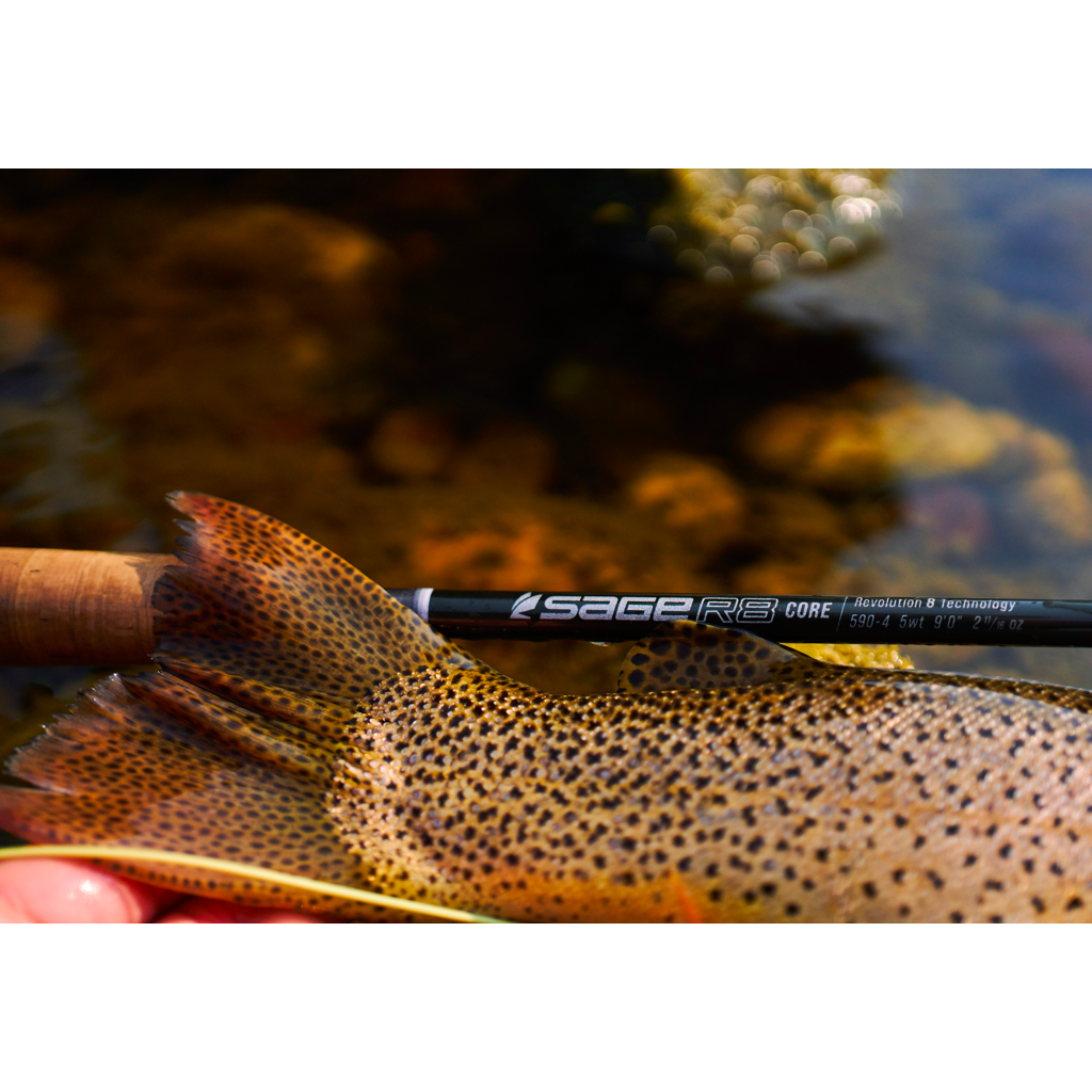 Sage R8 Core - FREE FLY LINE