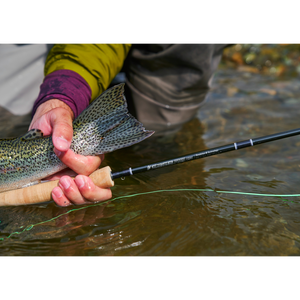 Sage R8 Core - FREE FLY LINE