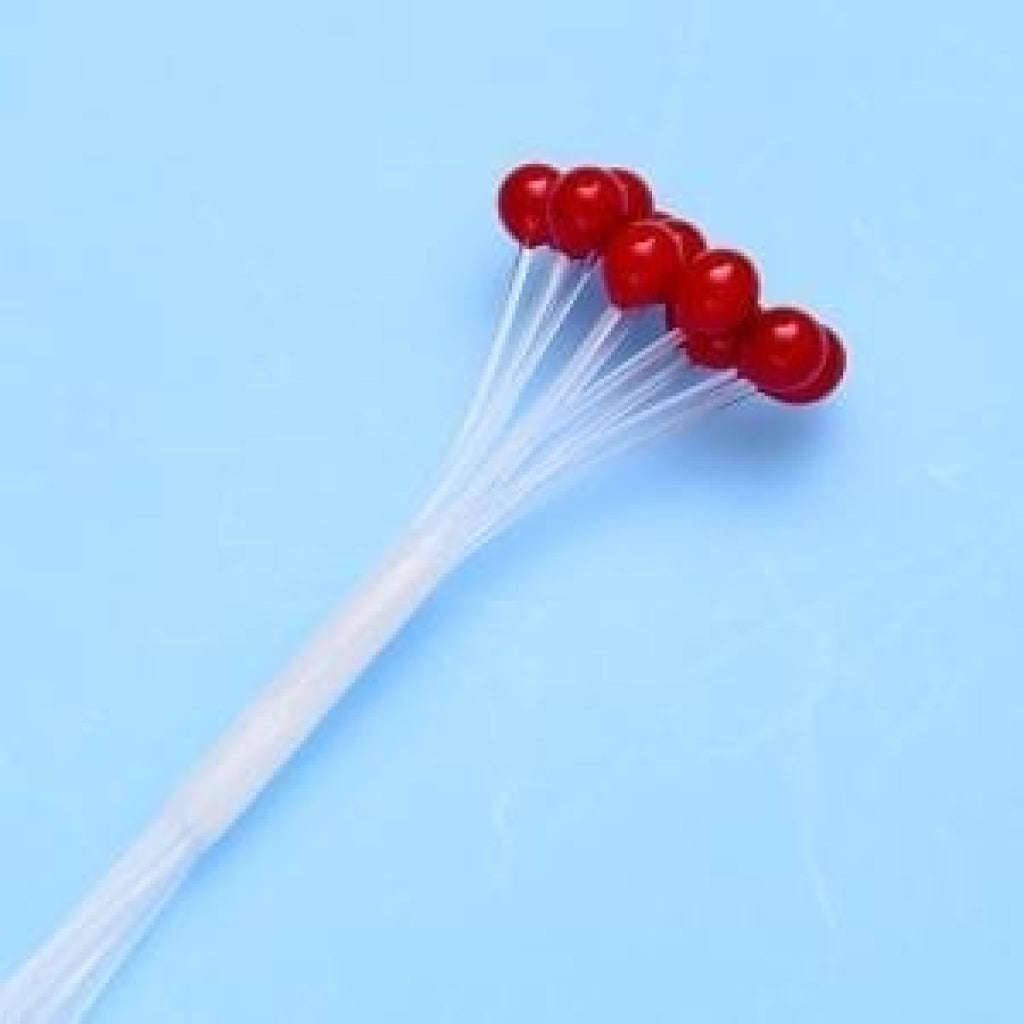 EP Crab &amp; Shrimp Eyes